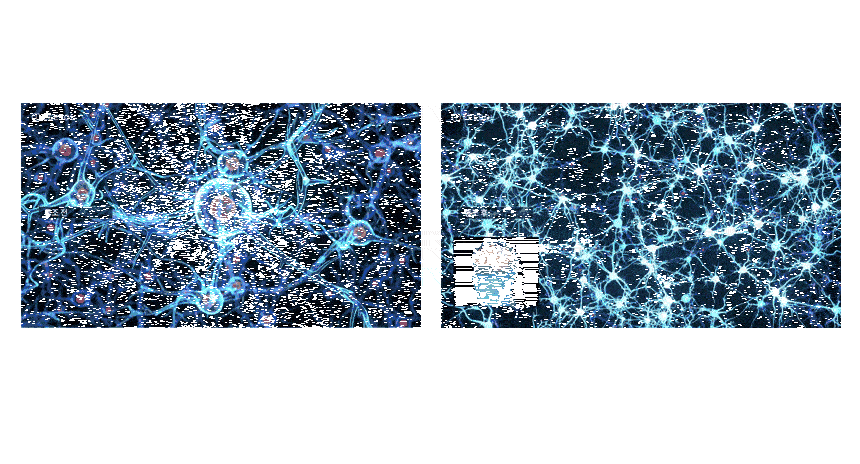 c2dd42f2914cd6fa21cf8af3f5da651f_1743145308_625.gif